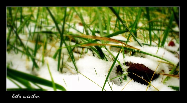 Late winter