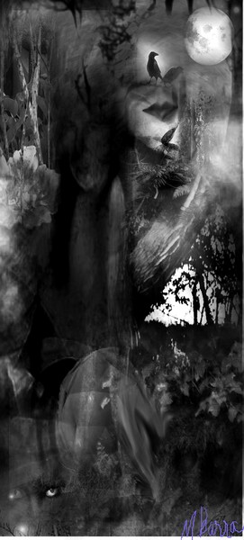 The Watchers