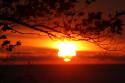 Sun Glare