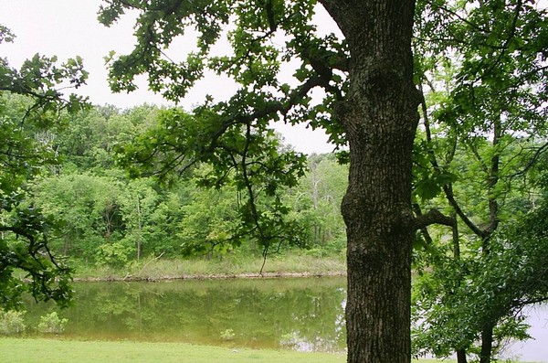 Camping View