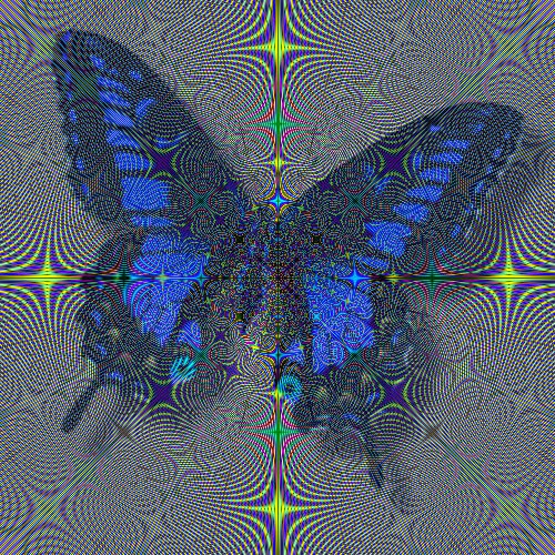 Blue Butterfly