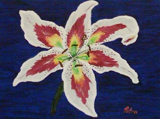 Lilie (Lily)