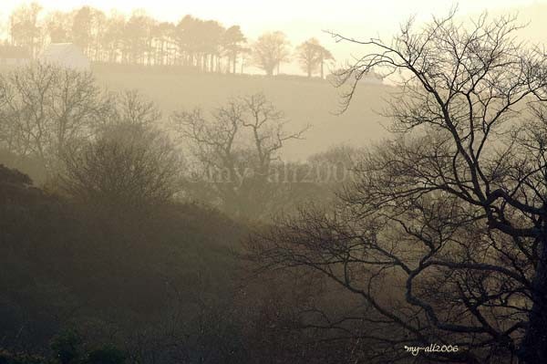 Evening Mist in the Valley