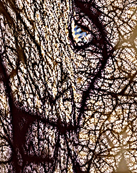 Petrified Super-Ego Spirit of Tyrants and Tyranny