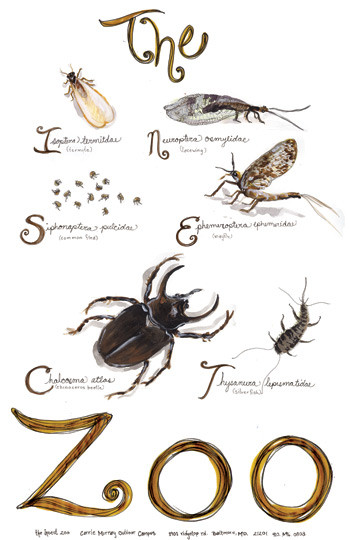 The Insect Zoo poster