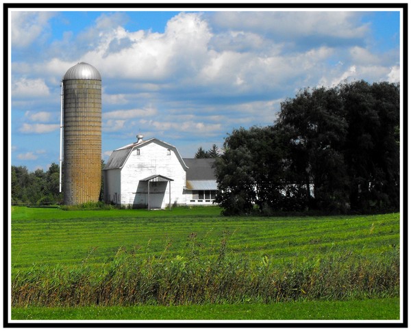 Summer On A Farm