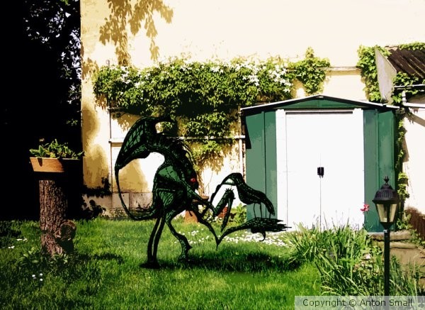 Something has landed in my garden!