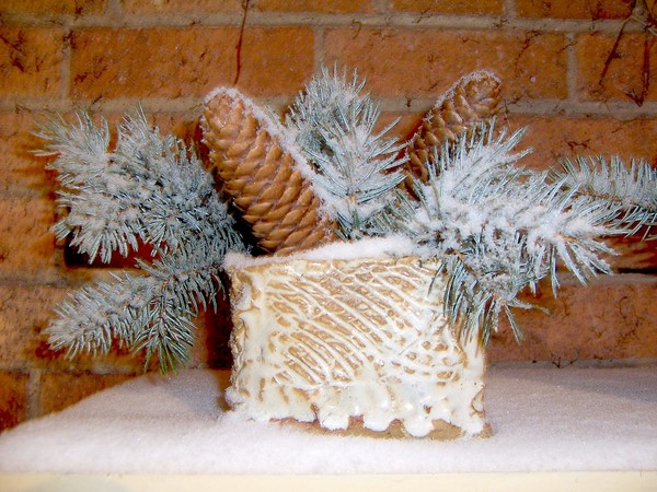 Still Life with Snow