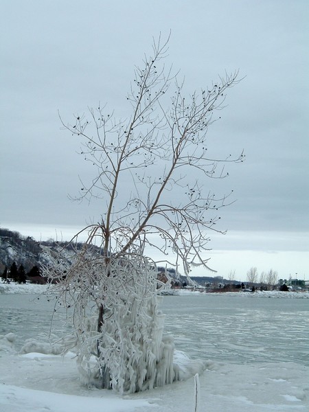 Cold