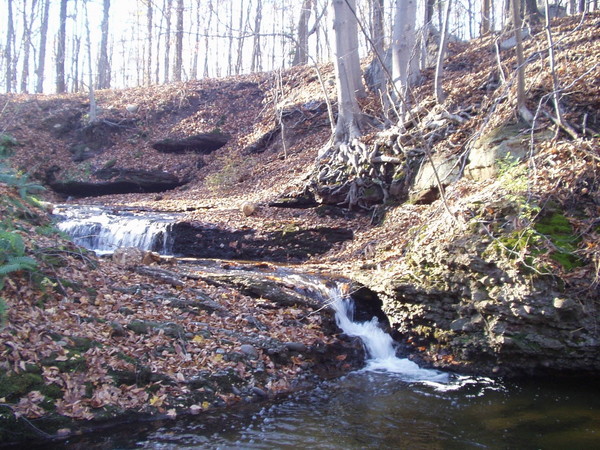 stream