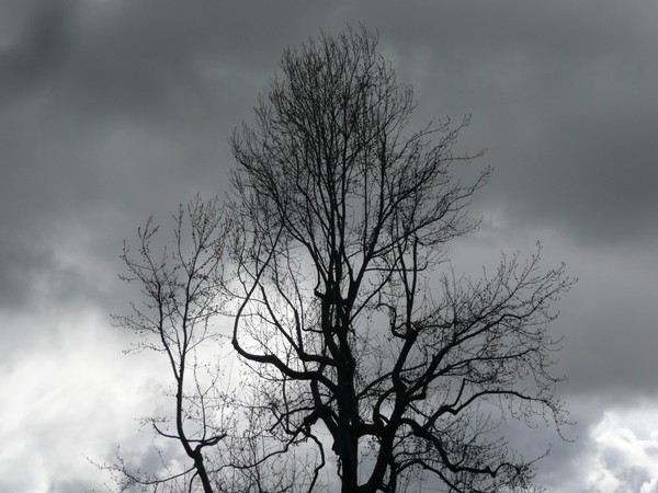 A Lonely Storm