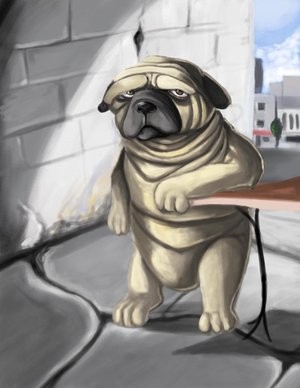 Caroon Pug
