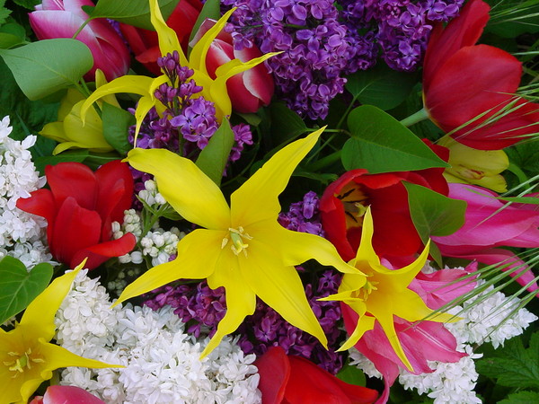 best wishes to all women to the womensday!!!