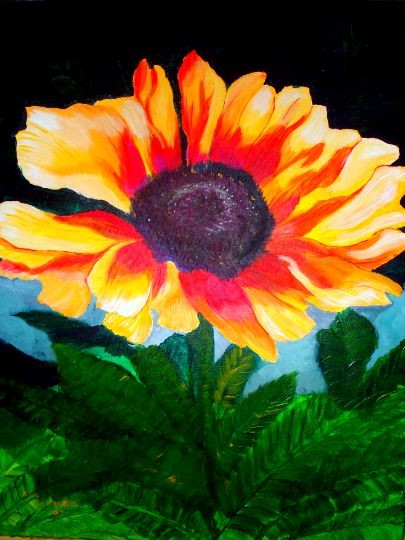 the painted dasie