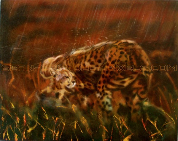 Cheetah Family After The Rains