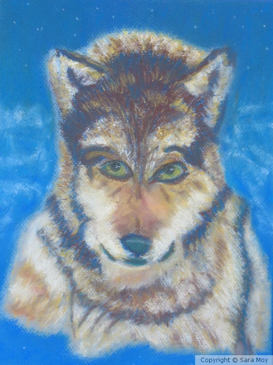 Wolf