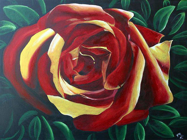 Mother's Rose