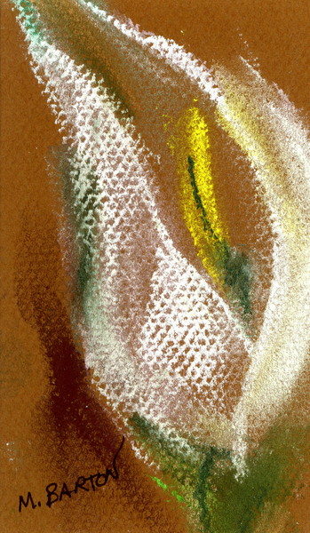 Calla