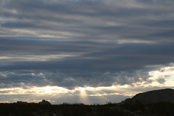 Blue Sky Morning #2   (up close)