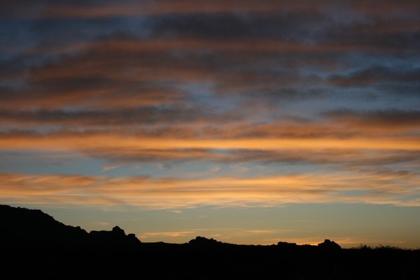 Morning Has Dawned   (up up close)