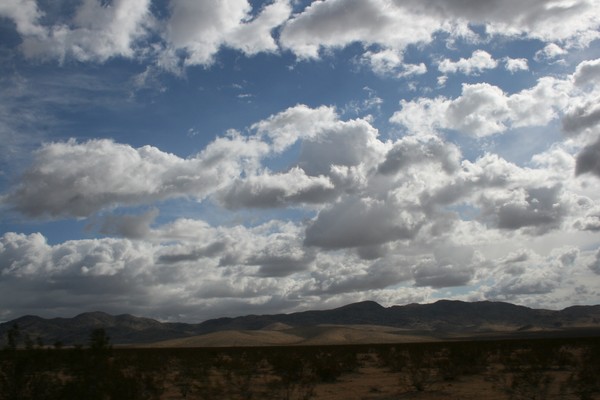 Cowboy Skys #6
