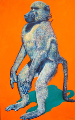 Baboon