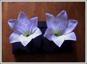 TWIN TREASURES