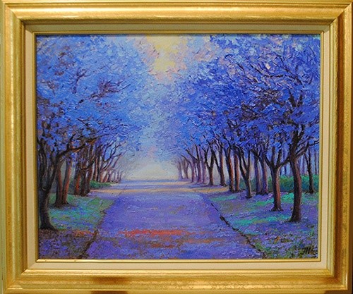 Jacaranda alley.