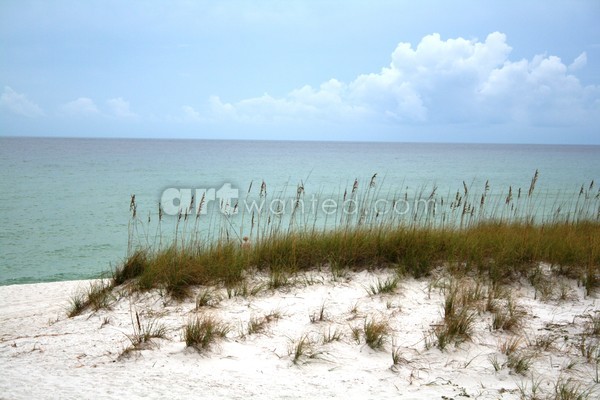 Sand Dunes