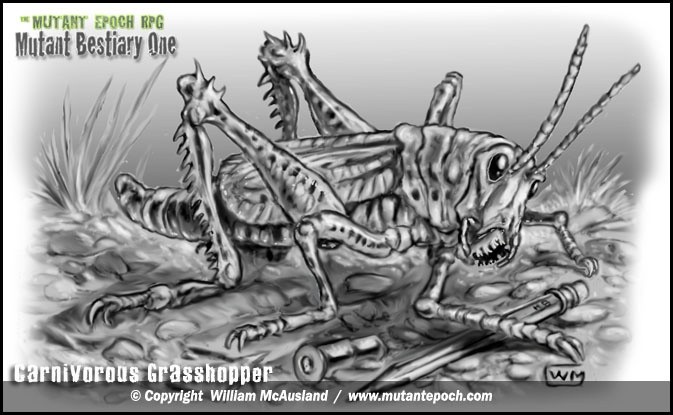 Carnivorous Grasshopper