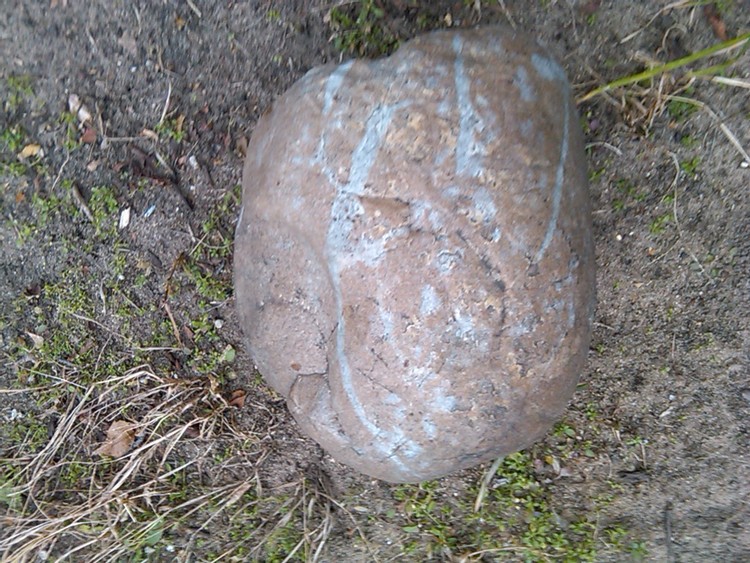 IMG01387-20101121-1342