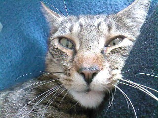 who me?