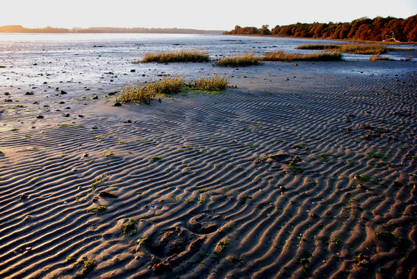 Suffolk Landscape