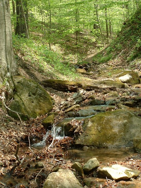 Mini Falls