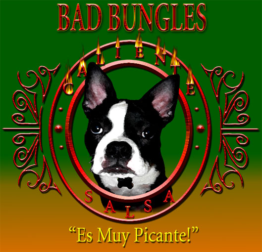 BAD BUNGLES SALSA