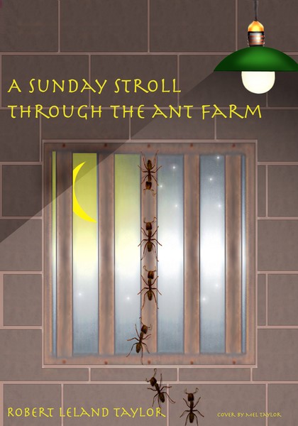 book cover for my brother...It'll be out on Amazon