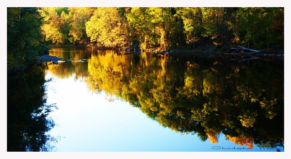 Fall reflections