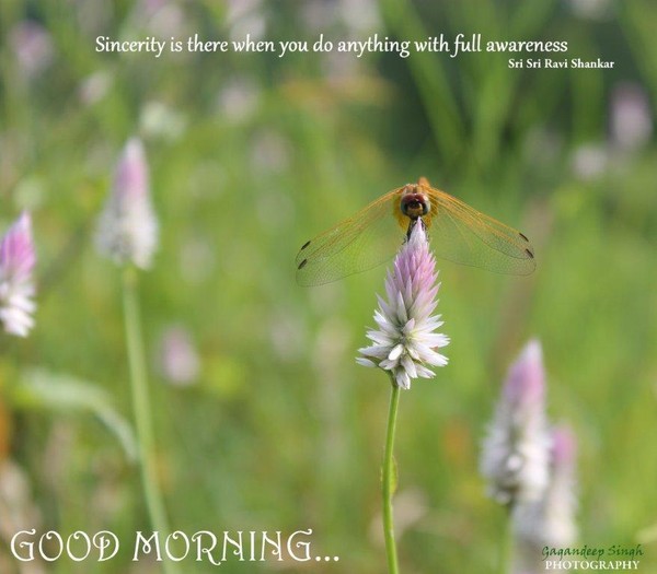 good morning
