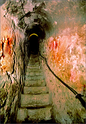 Dracula`s castle