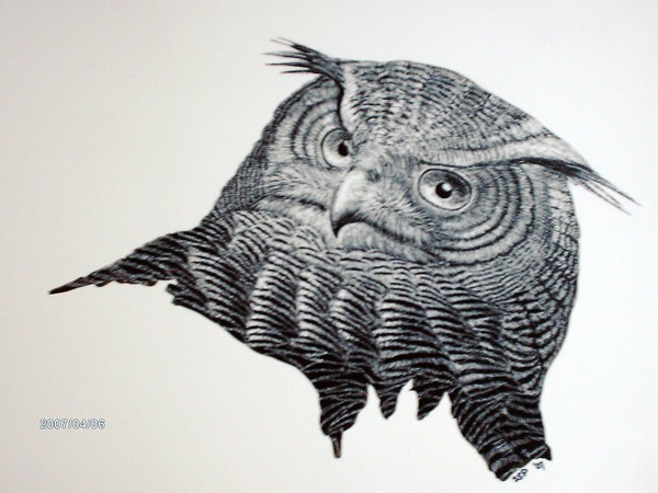Eagle Owl