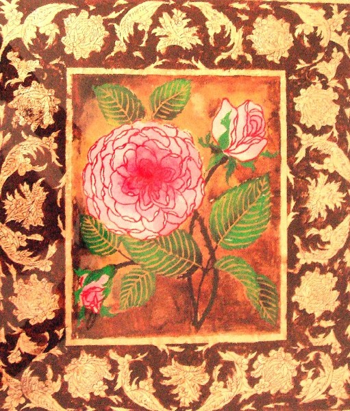 rose