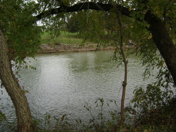 DSC02295