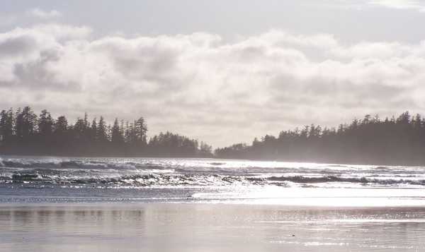 a beautiful beach day