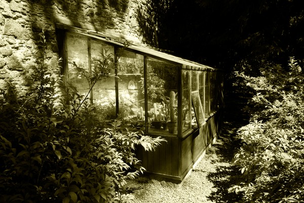 The Potting Shed