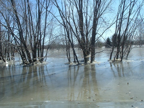 Selkirk Park Flooded