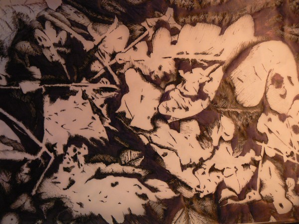 Leaf Study