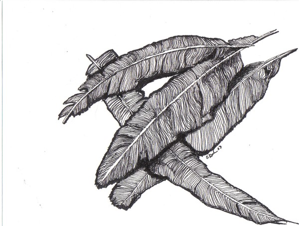 Light as a Feather