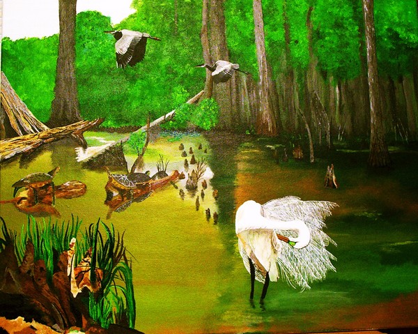 Swamp