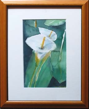 Lily