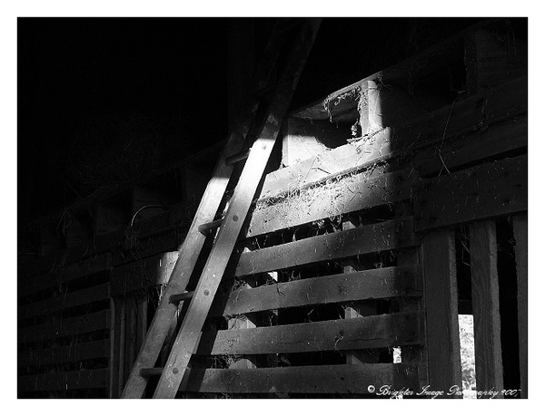 Ladder To The Hayloft